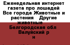Еженедельная интернет - газета про лошадей - Все города Животные и растения » Другие животные   . Белгородская обл.,Валуйский р-н